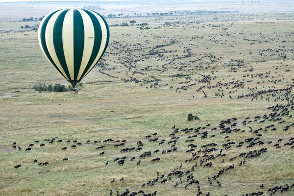 Balloon Safari — activities in Tanzania