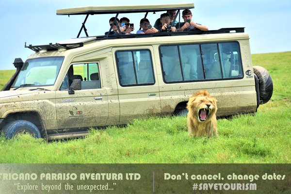 Safari Jeep — safari in Tanzania