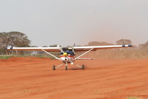 Bush Plane — wildlife in Tanzania