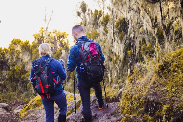 Kilimnjaro — trekking in Tanzania