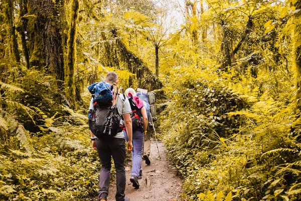 Kilimnjaro — trekking in Tanzania