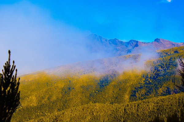 Kilimnjaro — trekking in Tanzania