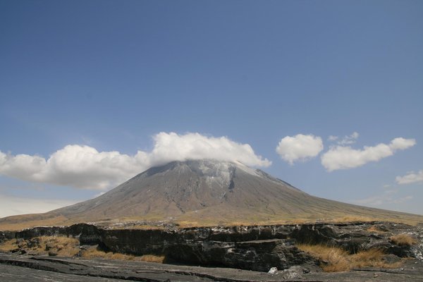 Ol Doionyo Lengai — wildlife in Tanzania