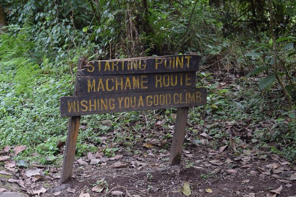 Kilimnjaro — trekking in Tanzania