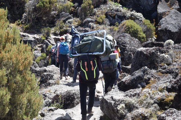 Kilimnjaro — trekking in Tanzania