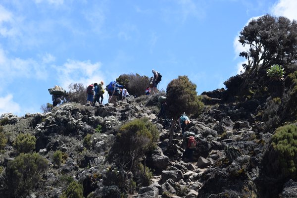 Kilimnjaro — trekking in Tanzania