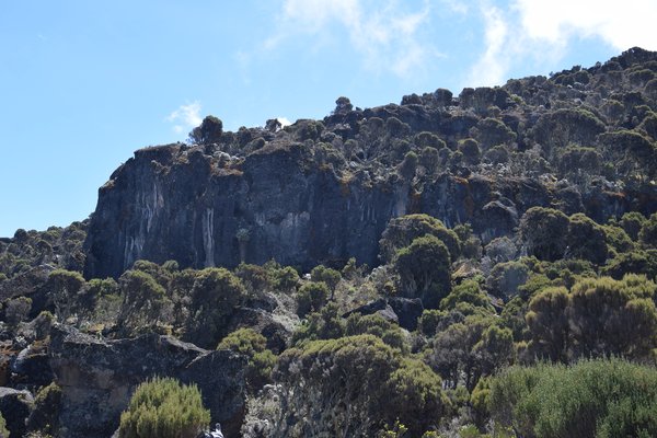 Kilimanjaro — trekking in Tanzania