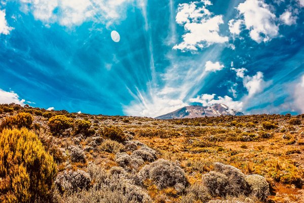 Kilimanjaro — trekking in Tanzania