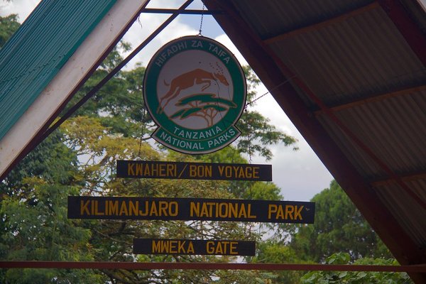 Kilimanjaro — trekking in Tanzania
