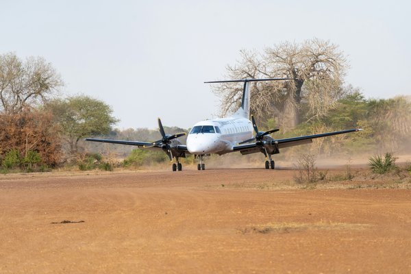 Bush plane — wildlife in Tanzania
