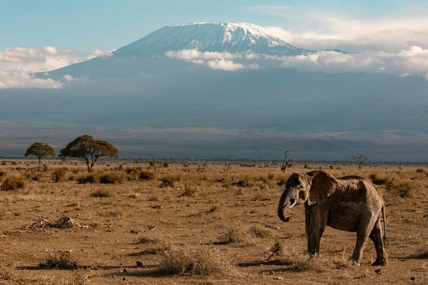 Kilimanjaro — trekking in Tanzania