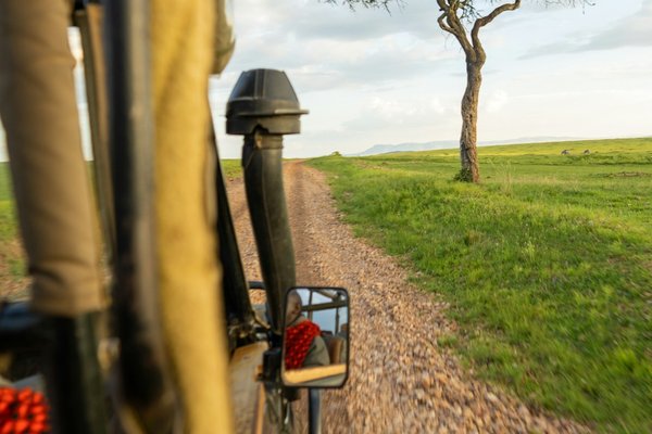 Safari Jeep — wildlife in Tanzania