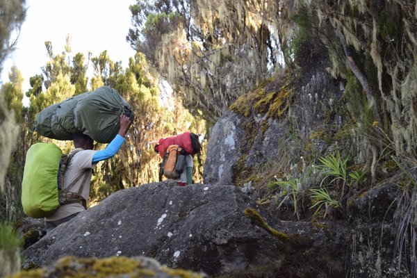Kilimanjaro — trekking in Tanzania