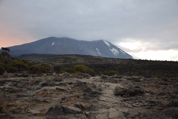 Kilimanjaro — trekking in Tanzania
