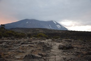 Kilimanjaro