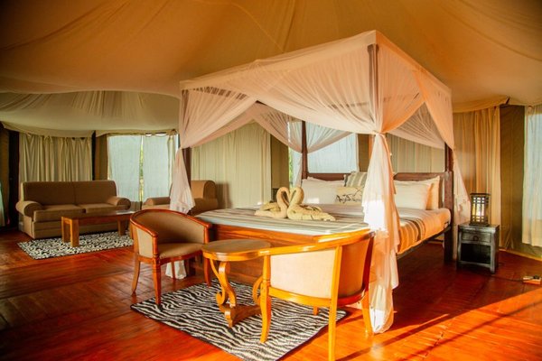 Hotel Room — lodges in Tanzania