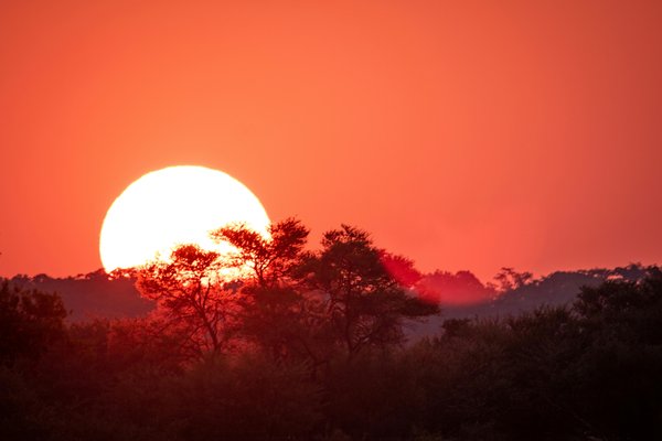 Sun Set — safari in Tanzania