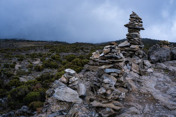 Kilimanjaro — trekking in Tanzania