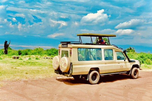Safari — wildlife in Tanzania
