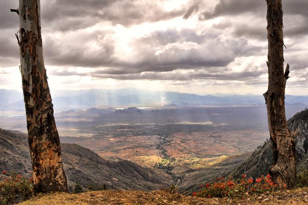 Usambara — trekking in Tanzania