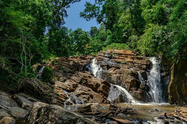 Usambara — trekking in Tanzania
