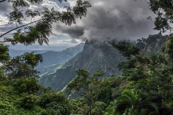 Usambara — trekking in Tanzania