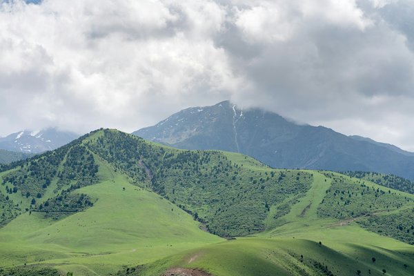 Kilimnjaro — trekking in Tanzania