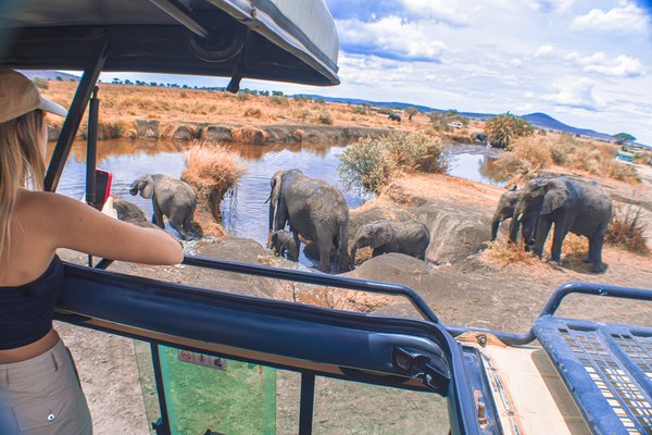 Safari Time — safari in Tanzania