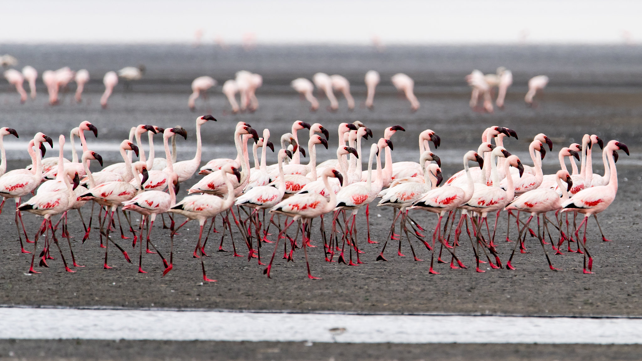 Hidden Gems Safaris in Tanzania