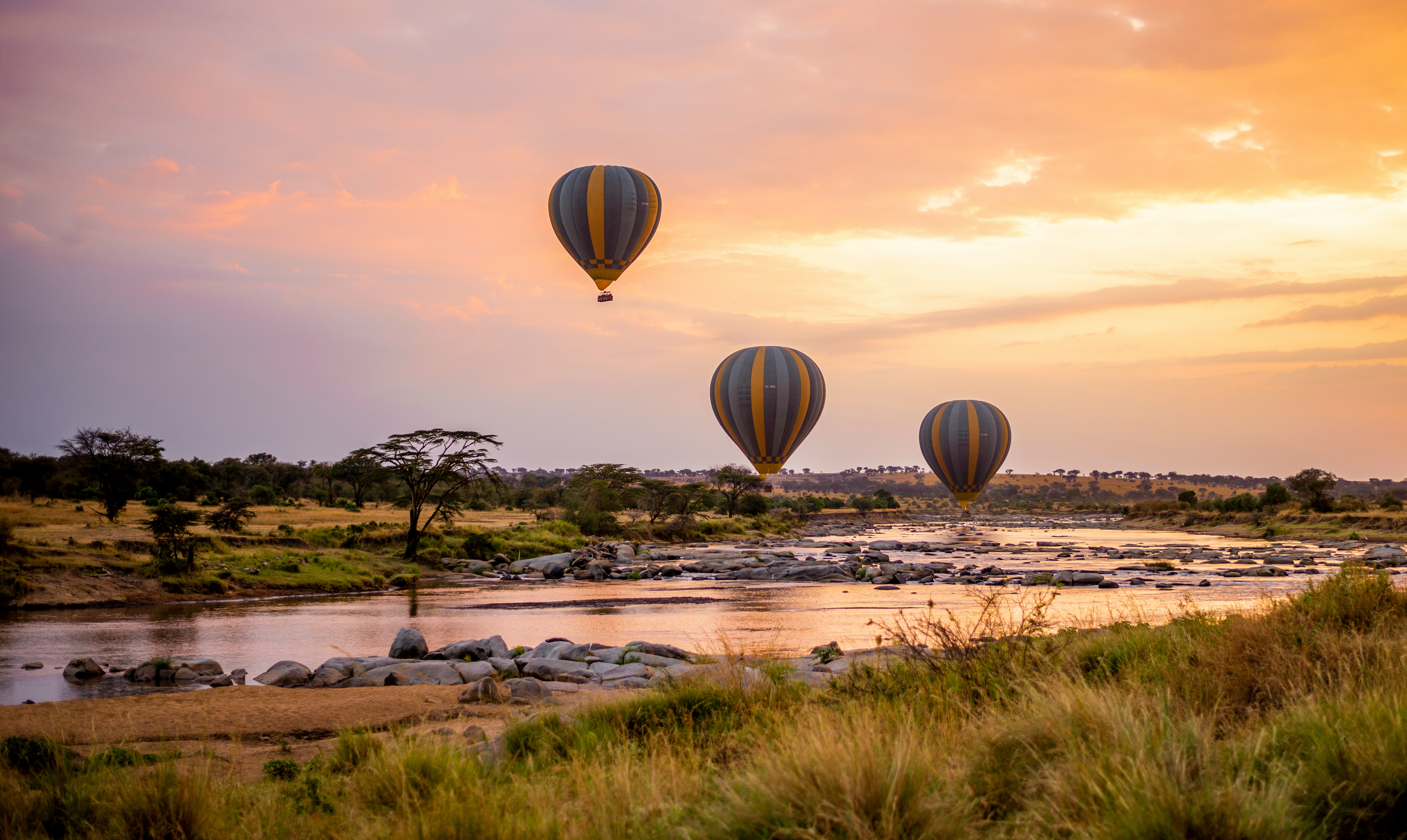 Full Day At Serengeti National Park
