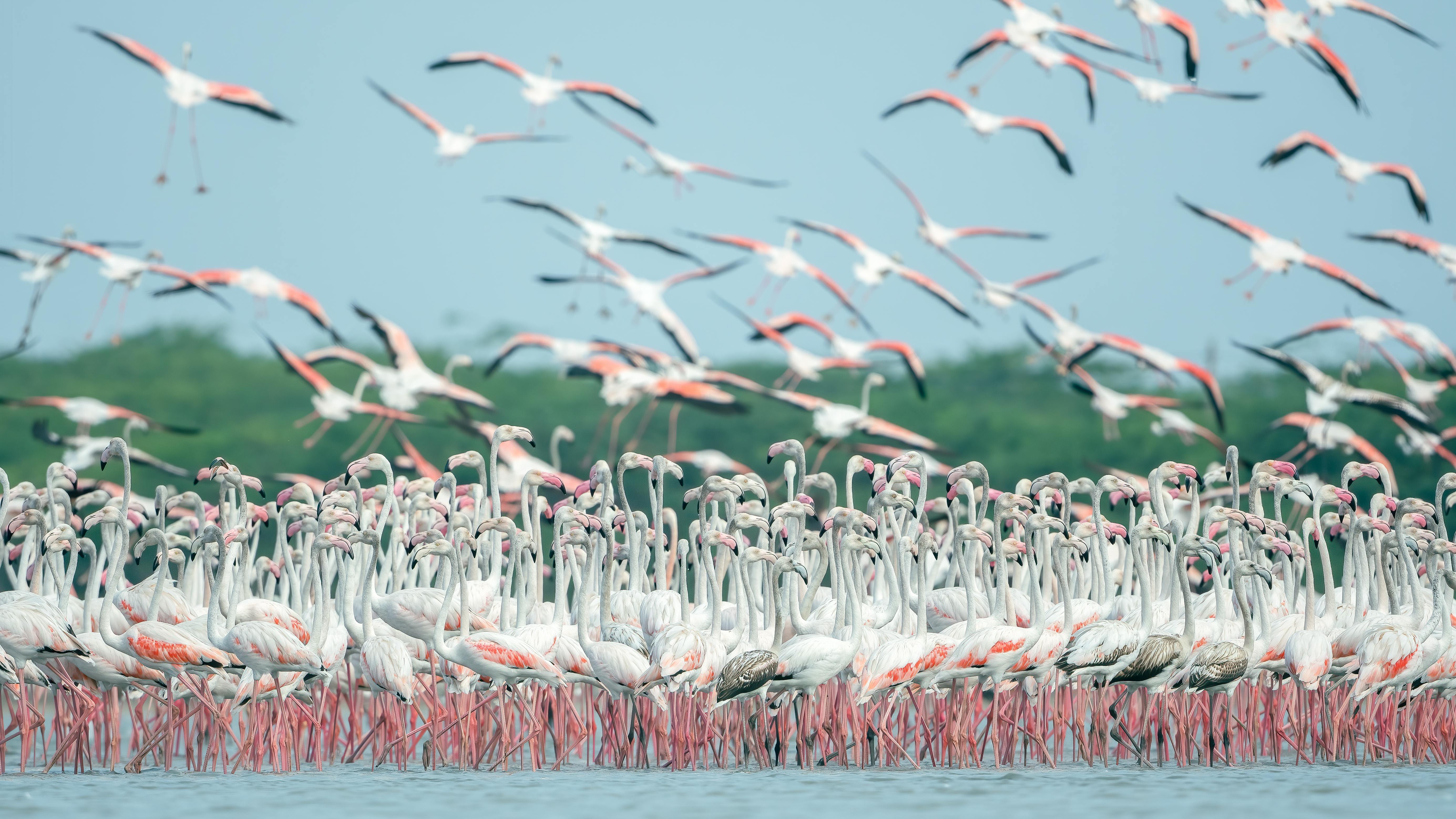 Arusha to Lake Natron – Enter the Rift Valley