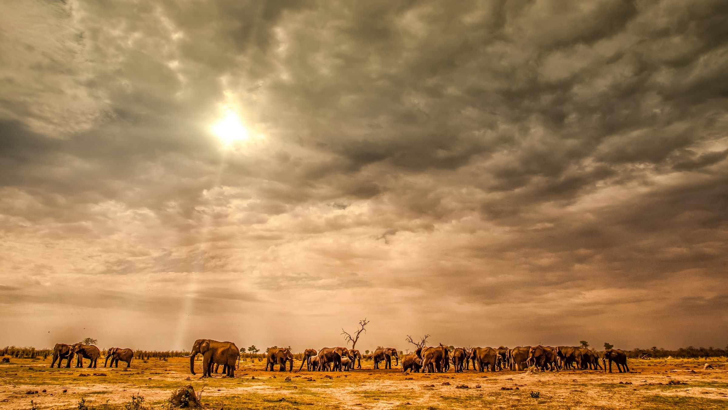 Drive from Ndutu to Karatu – Scenic Journey through Ngorongoro Highlands
