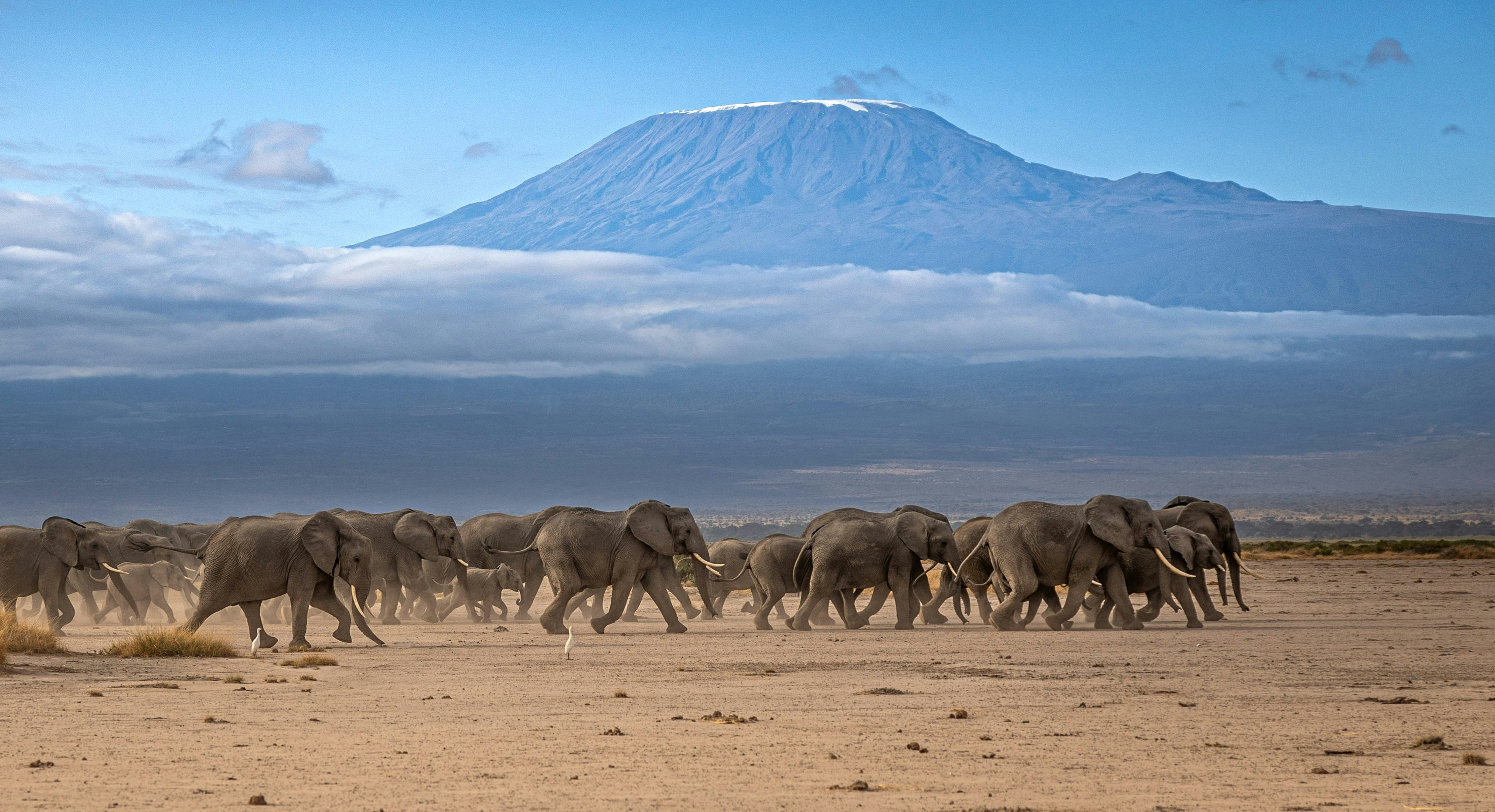 Drive to Enduimet – Community Wildlife Zone