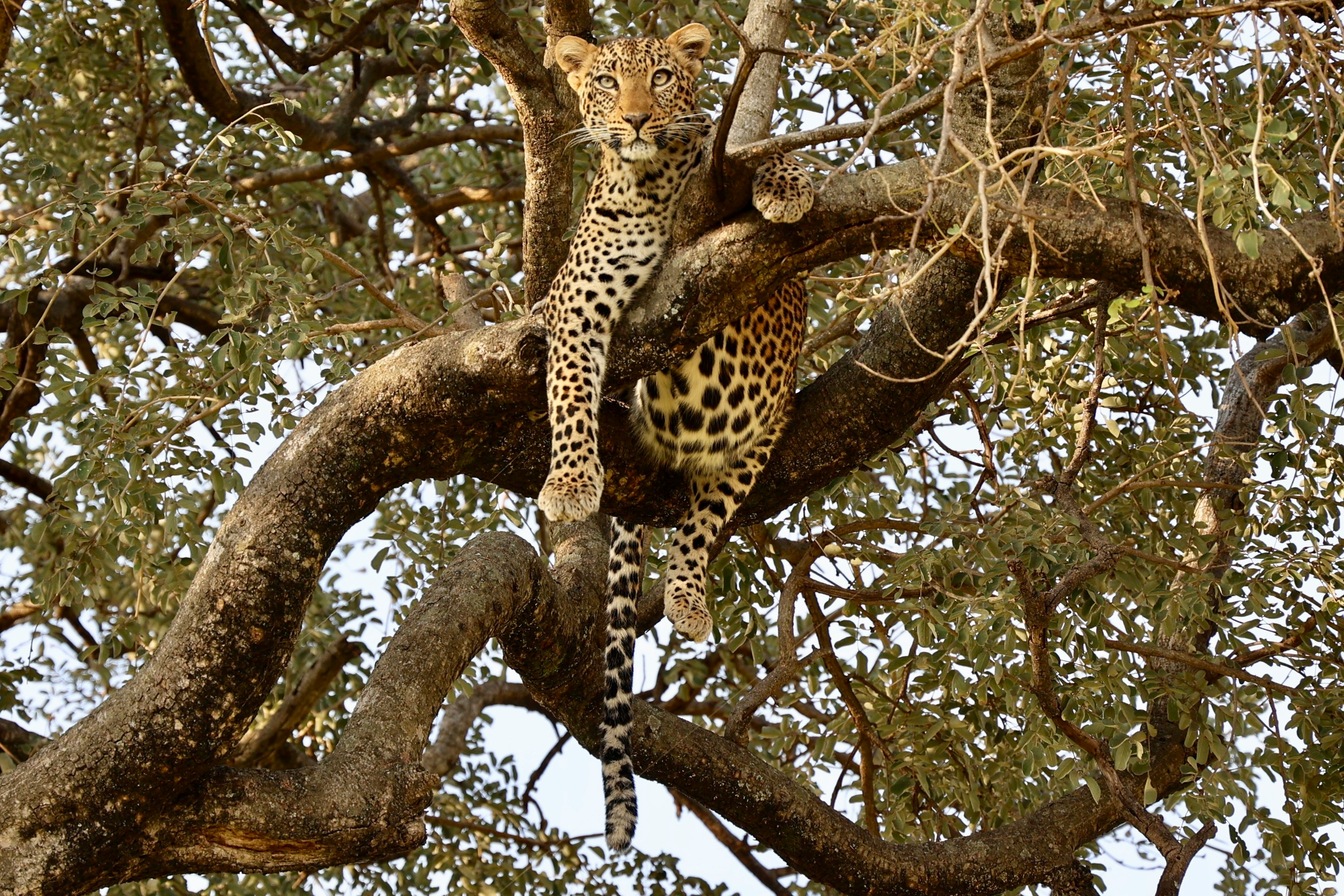 Lake Manyara National Park – A Compact Gem of Biodiversity