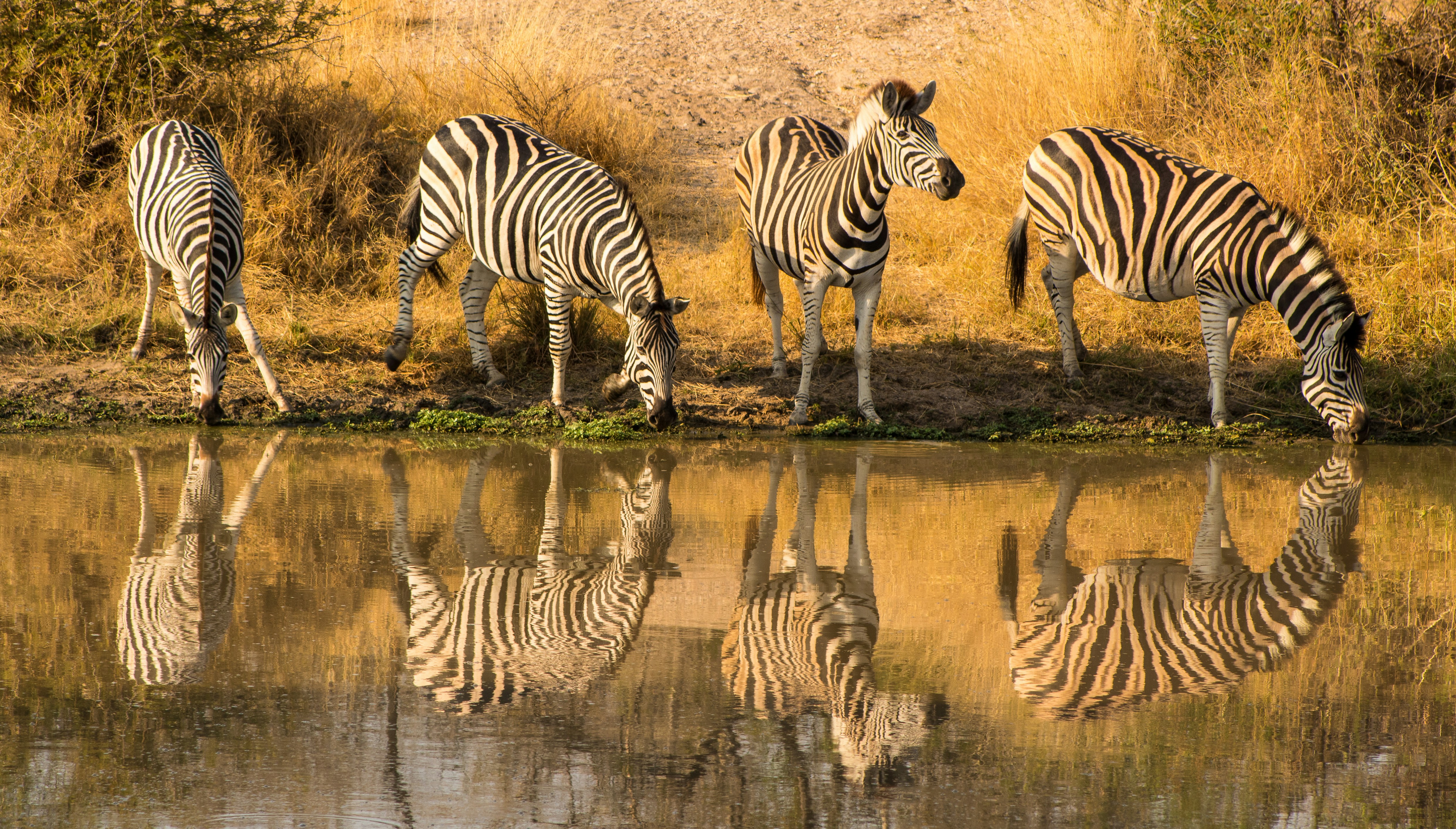 Ngorongoro Crater – Nature’s Garden of Eden