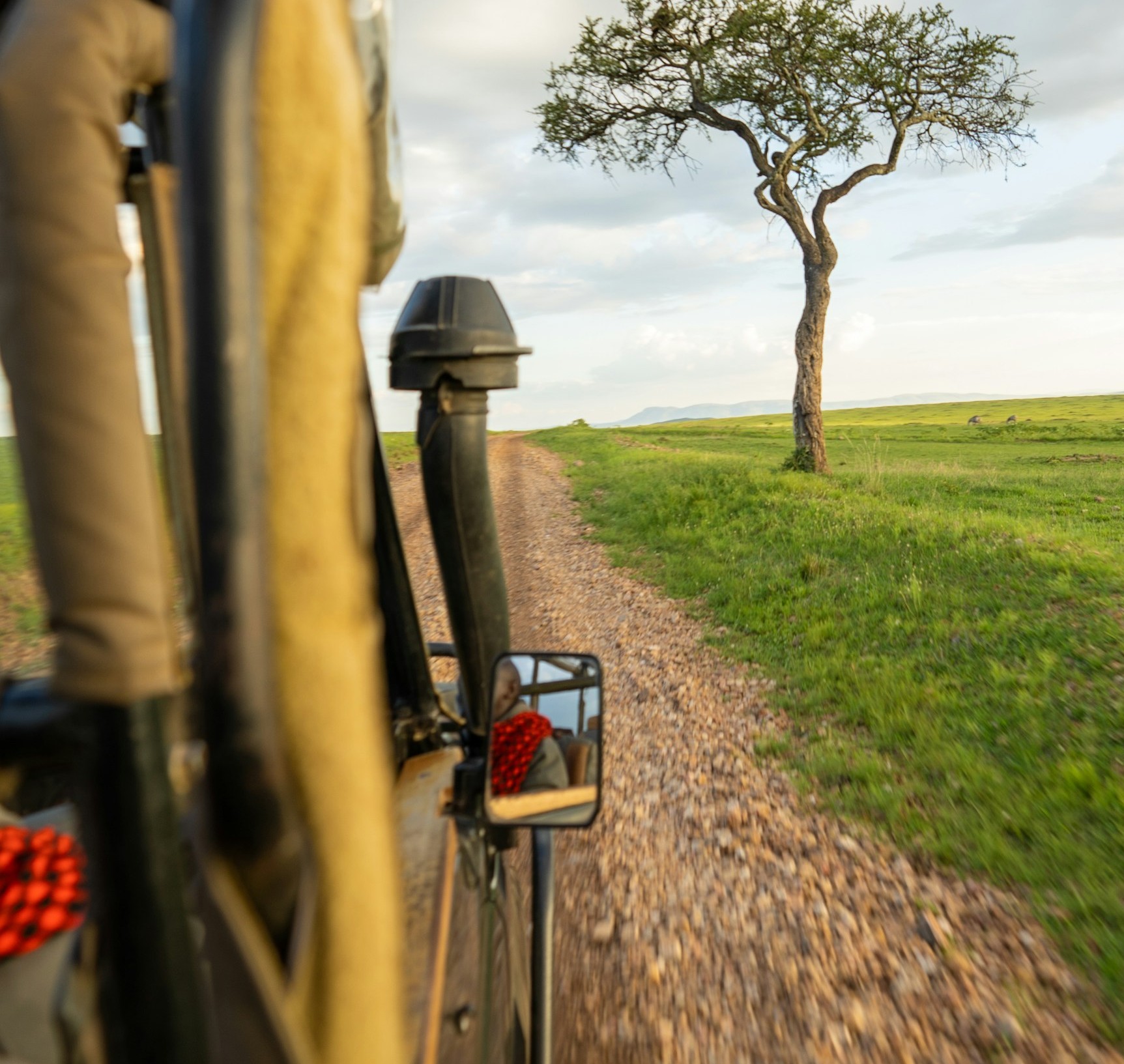Maasai Mara National Reserve - Full Day