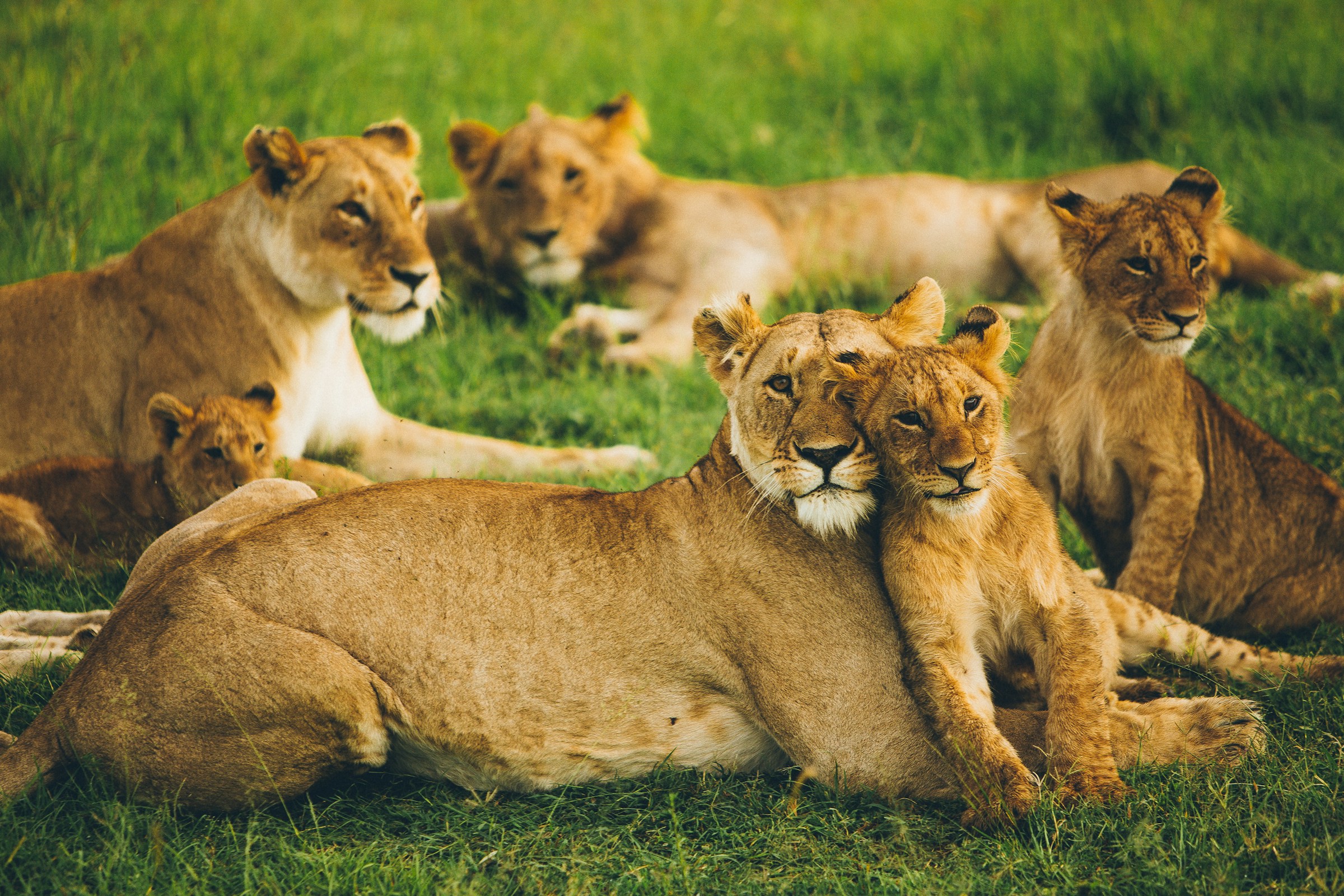 Karatu - Serengeti National Park