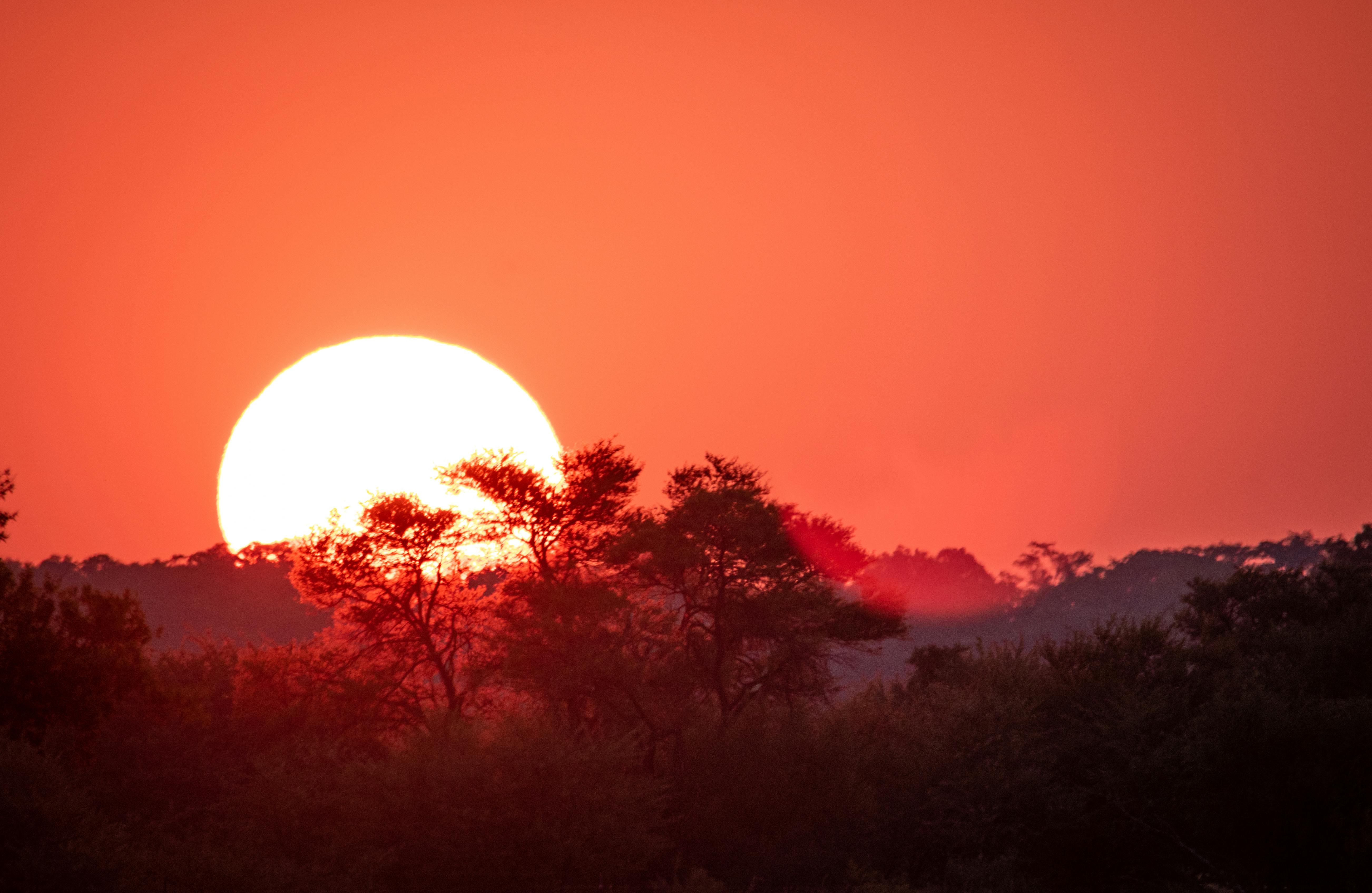 Transfer to Ngorongoro Crater Rim – Highlands Retreat