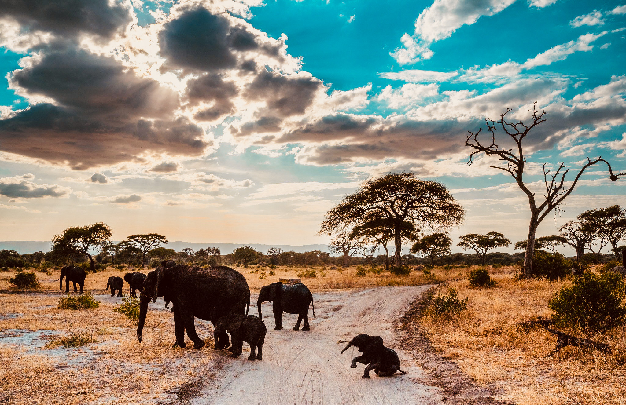 Tarangire National Park