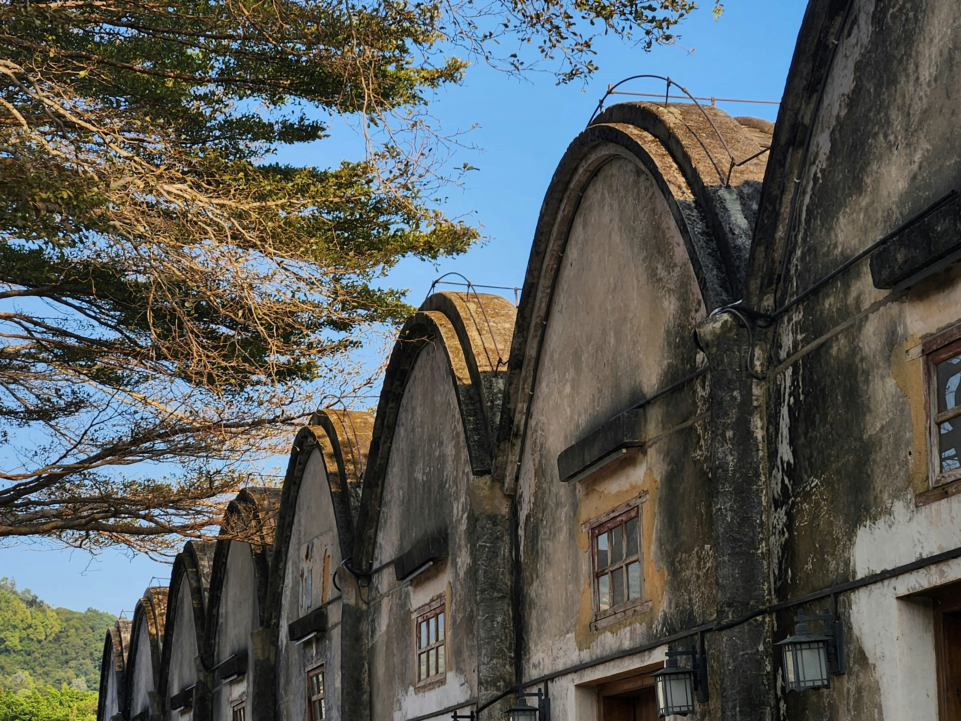 Zanzibar – From Safari to Seaside Paradise