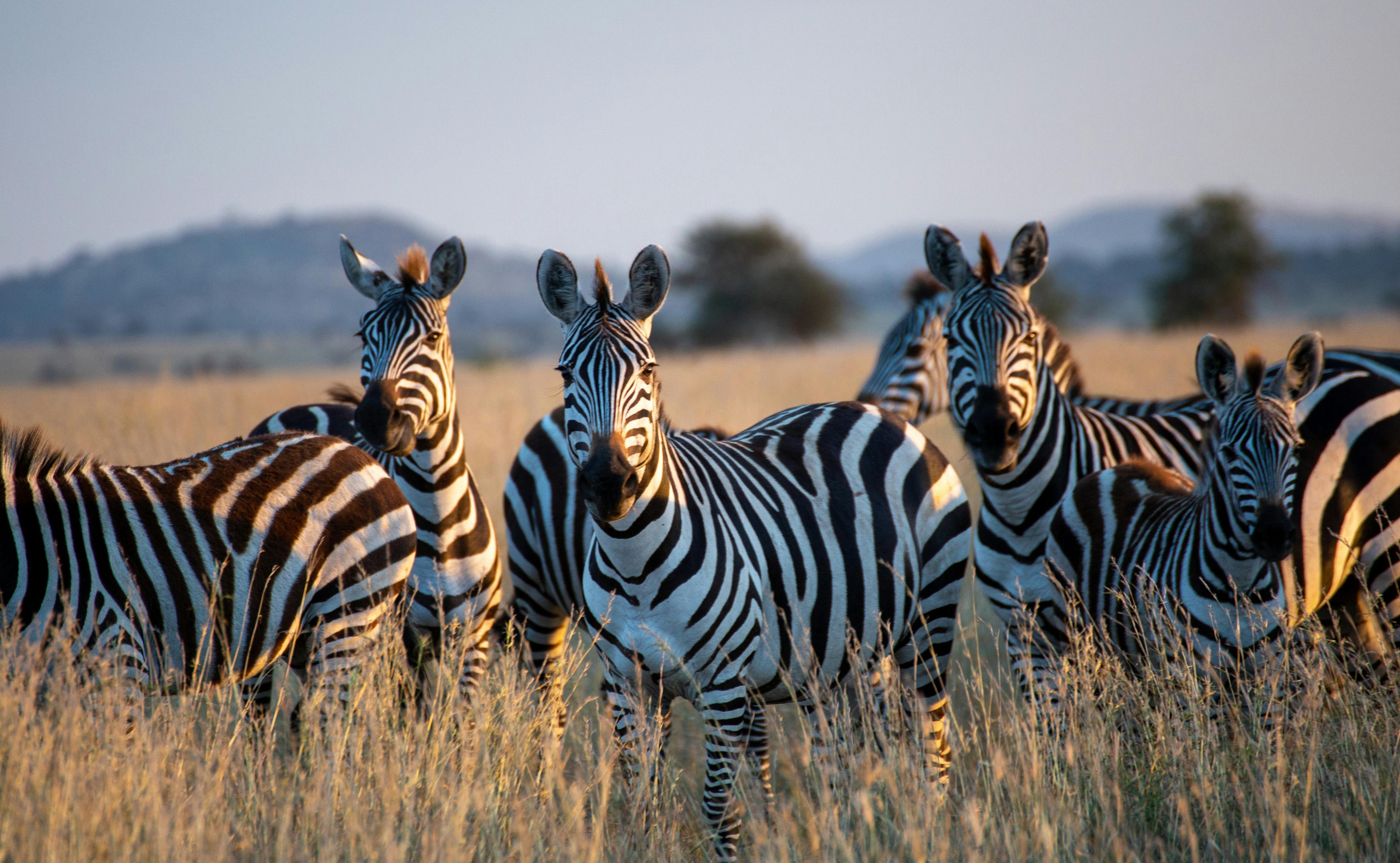Tarangire National Park