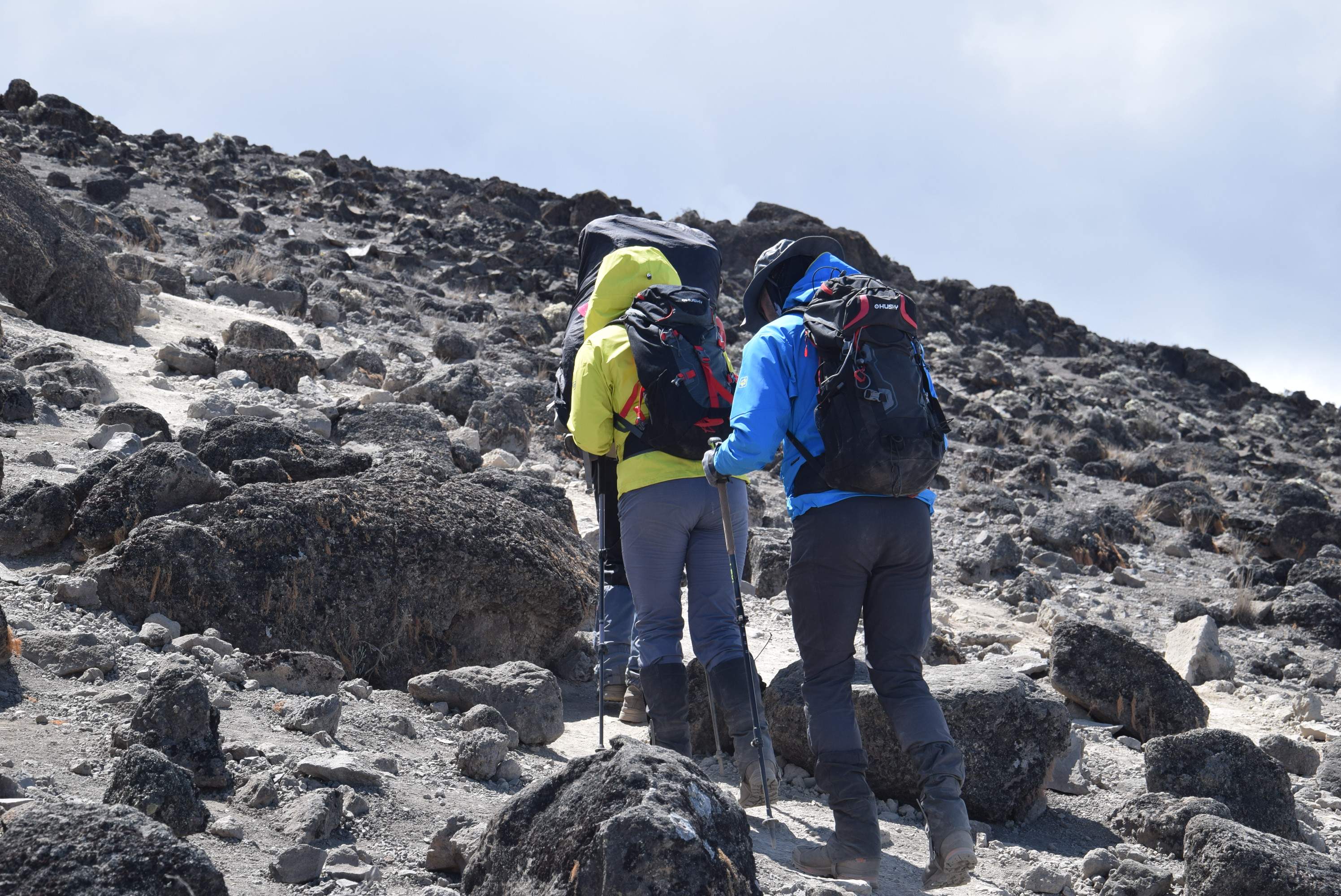 Millennium Camp (3,820 m) → Mweka Gate (1,640 m) → Return to Hotel