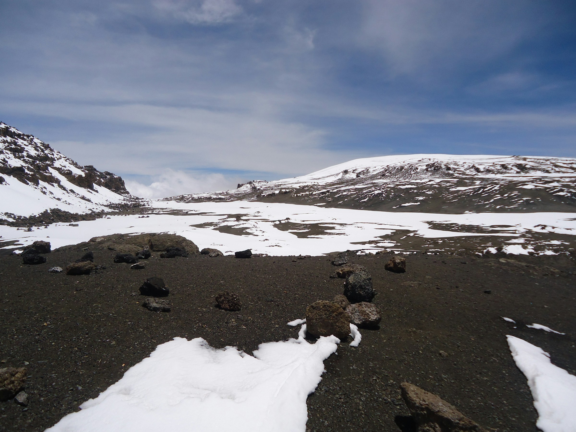 Big Tree Camp (2,780 m / 9,120 ft) → Shira I Camp (3,510 m / 11,515 ft)