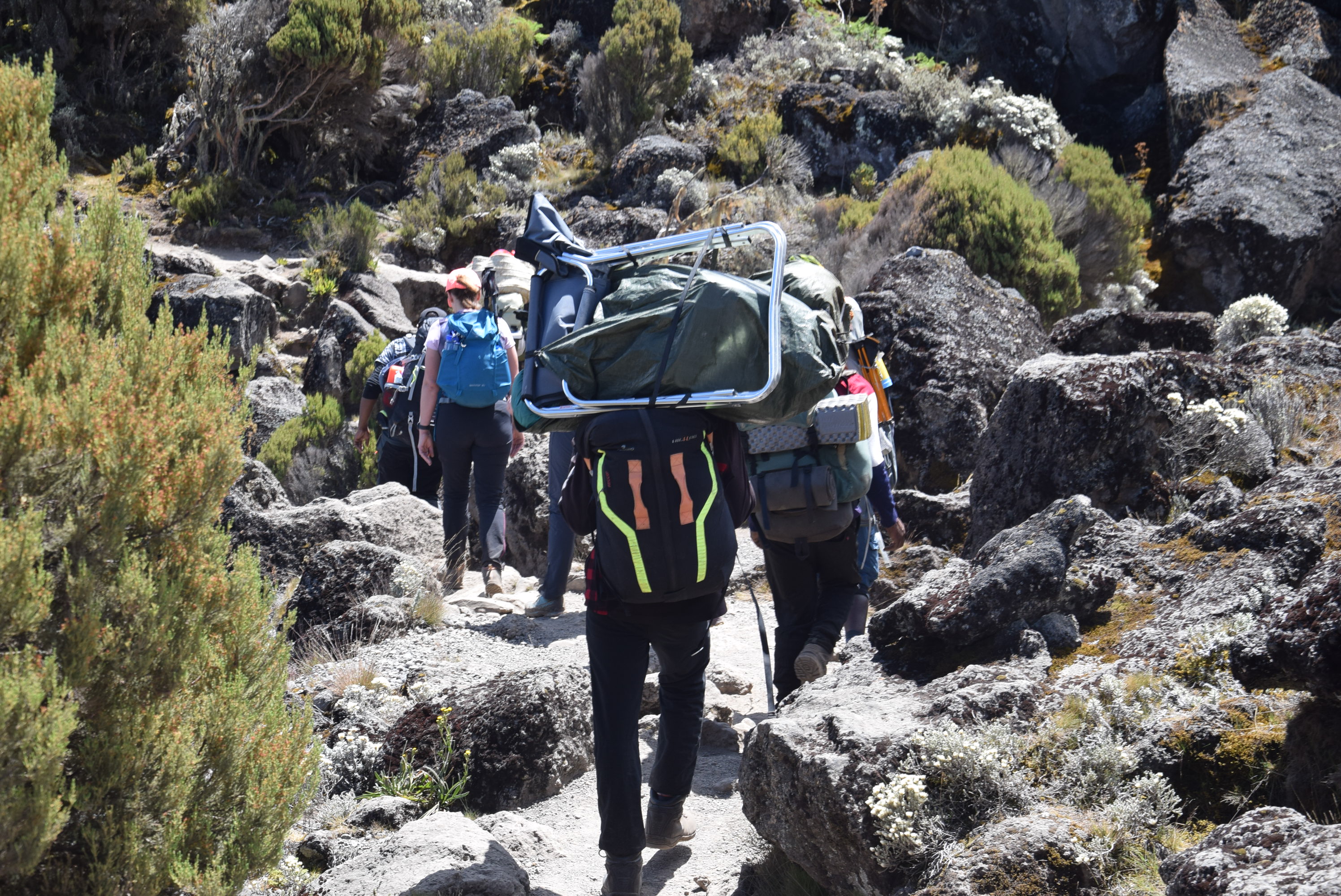 First Cave Camp (2,650 m / 8,694 ft) → Kikelewa Camp (3,660 m / 12,007 ft)