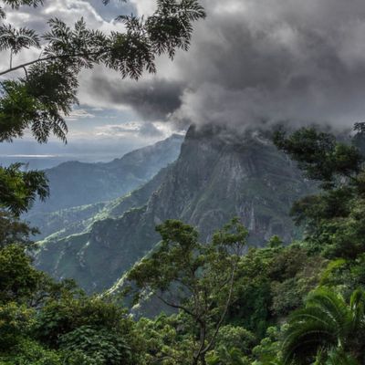 Usambara Mountains hiking trail