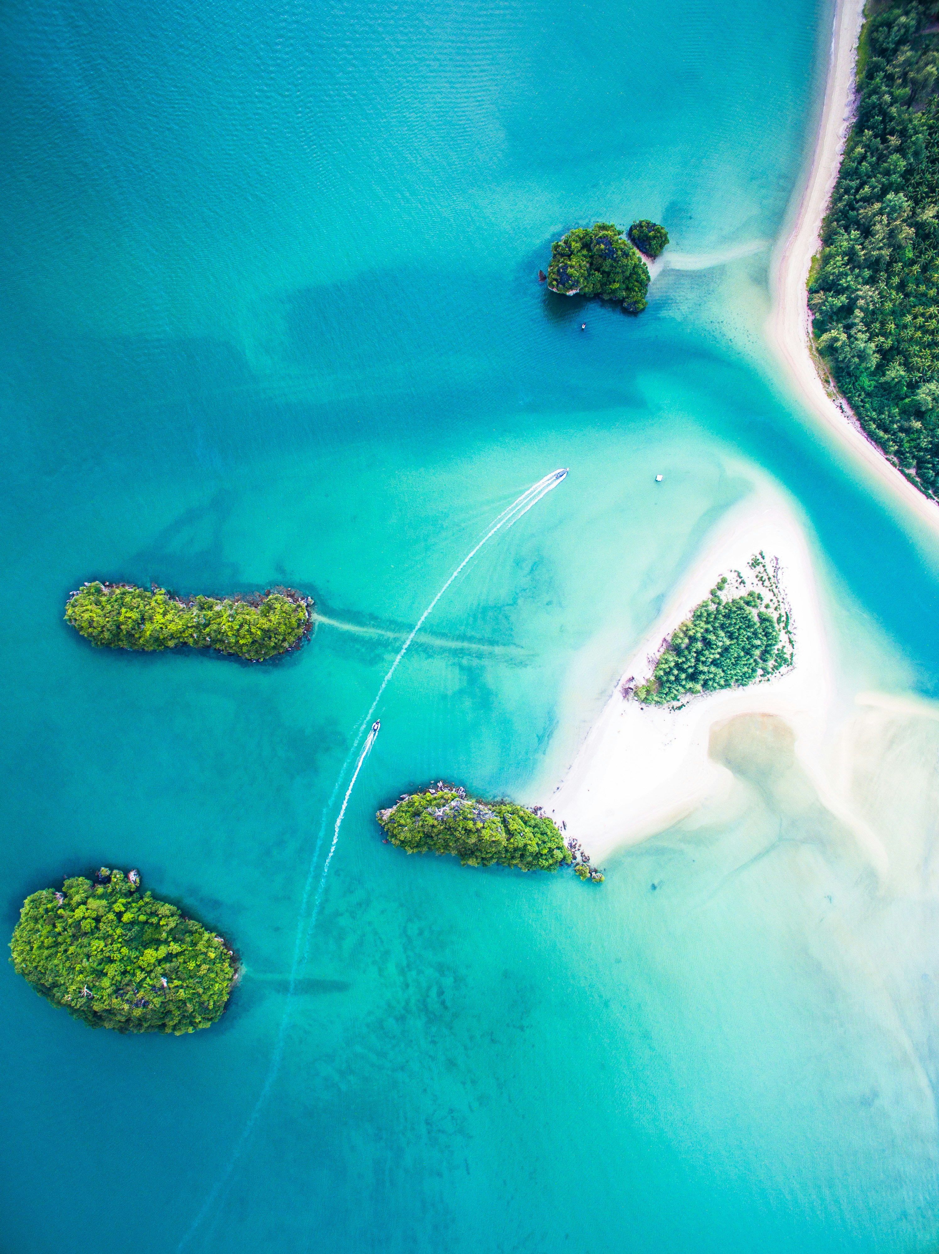 A peaceful Zanzibar beach framed by tropical palms